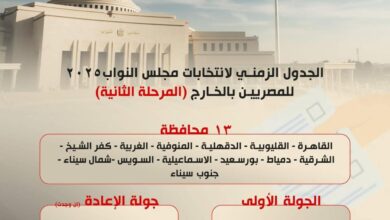 تصويت المصريين بالخارج في المرحلة الثانية من إنتخابات مجلس النواب بعد غداً 