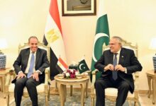 مصر مشاورات سياسية بين وزيرى الخارجية المصري والباكستاني في إسلام آباد