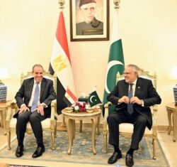 مصر مشاورات سياسية بين وزيرى الخارجية المصري والباكستاني في إسلام آباد