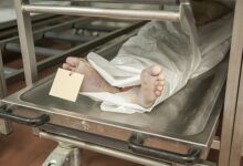 إعترافات قاتل زوجته وطفله في المنوفية.. وشهادات صادمة للأهالي. 