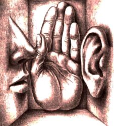 الإشاعة.. خناجر مسمومة في ظهر الوطن. 