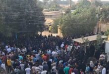 مصرع شقيقين في حادث سير أثناء عودتهما من المدرسة بقرية سندبيس بالقليوبيه. 