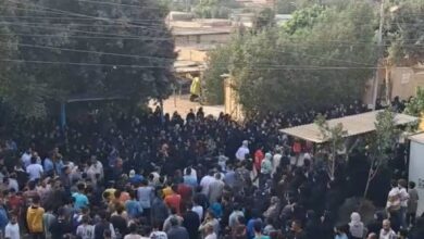 مصرع شقيقين في حادث سير أثناء عودتهما من المدرسة بقرية سندبيس بالقليوبيه. 