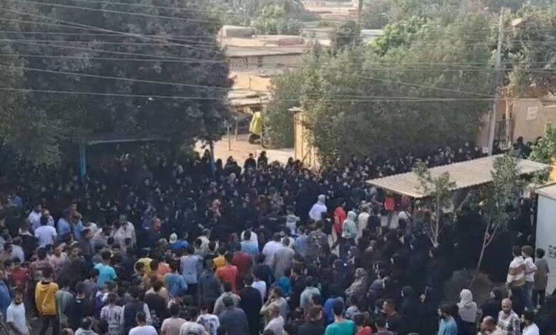 مصرع شقيقين في حادث سير أثناء عودتهما من المدرسة بقرية سندبيس بالقليوبيه. 