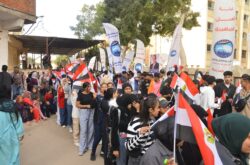 انتخابات النواب : من ميادين الكفاح إلى صناديق الاقتراع المرأة المصرية تواصل صناعة التاريخ. 