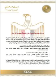 مصر ومالي تتبادلان إتصالات على أعلى مستوى لإطلاق سراح المصريين المختطفين