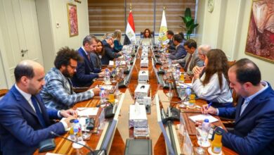 وزيرة التنمية المحلية تستعرض نتائج المرحلة الأولى من برنامج تنمية الصعيد