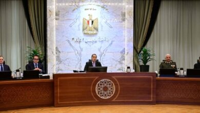 مدبولي: حلم الطاقة النووية يتحقق بفضل إرادة مصر وشكر خاص للرئيس السيسى 