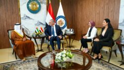 مباحثات مصرية-إماراتية لتعزيز التعاون في قطاعي البترول والغاز. 