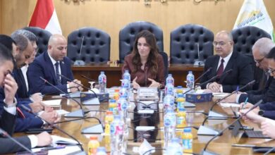 نائب محافظ الجيزة تبحث مع وفد صيني رفيع المستوى تعزيز التعاون الاستثماري.