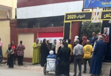 الحبس والغرامة في انتظار المخالف بعد التعدي علي رئيسة لجنة المنوفيه