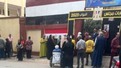 الحبس والغرامة في انتظار المخالف بعد التعدي علي رئيسة لجنة المنوفيه