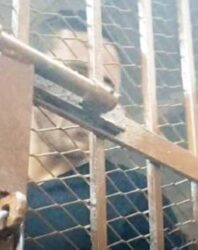 المحكمة تستأنف جلسة اتهام رمضان صبحي بالتزوير واللاعب مهدد بالحبس 10 سنوات