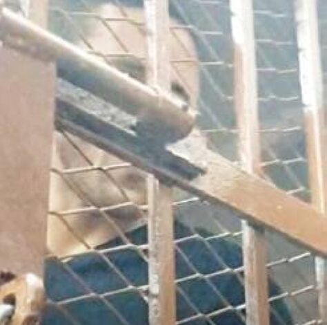 المحكمة تستأنف جلسة اتهام رمضان صبحي بالتزوير واللاعب مهدد بالحبس 10 سنوات