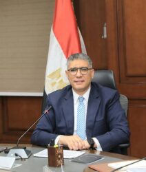 الجيزه تفتيش عمالي على منشآت وتوفير ٢٤٬٦٩٦ فرصة عمل خلال الفترة الماضية