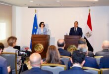 وزير الخارجية: لم يخرج أي قارب يحمل مهاجرين غير شرعيين من مصر منذ 2016