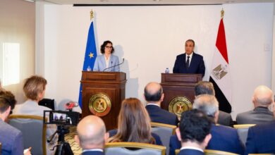 وزير الخارجية: لم يخرج أي قارب يحمل مهاجرين غير شرعيين من مصر منذ 2016