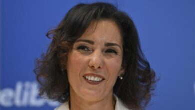 تفاصيل مباحثات وزير الخارجية ومفوضة الاتحاد الأوروبي لإدارة الأزمات