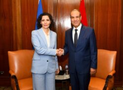 تفاصيل مباحثات وزير الخارجية ومفوضة الاتحاد الأوروبي لإدارة الأزمات