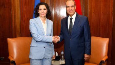 تفاصيل مباحثات وزير الخارجية ومفوضة الاتحاد الأوروبي لإدارة الأزمات