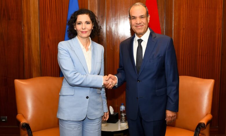 تفاصيل مباحثات وزير الخارجية ومفوضة الاتحاد الأوروبي لإدارة الأزمات