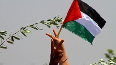 مصر: يوم التضامن مع الشعب الفلسطيني فرصة لتجديد الالتزام الدولي