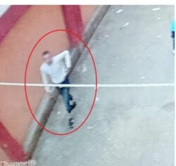 إلقاء زجاجة حارقة داخل لجنة انتخابية بنبروة.. الأمن يوضح التفاصيل.
إلقاء زجاجة حارقة داخل لجنة انتخابية بنبروة.. الأمن يوضح التفاصيل.
كشفت أجهزة الأمن بوزارة الداخلية ملابسات مقطع فيديو متداول على مواقع التواصل الاجتماعي يظهر خلاله شخص يلقي زجاجة تحتوي على مادة مشتعلة داخل أماكن الانتظار بمقر إحدى اللجان الانتخابية بدائرة مركز نبروة بمحافظة الدقهلية
تمكنت القوات من تحديد هوية المتهم وضبطه وتبين أنه يقيم بدائرة المركز ويعاني من اضطرابات نفسية معروفة بين أهالي المنطقة
أفاد أهلية المتهم بأنه يعاني من أمراض نفسية وسبق حجزه بأحد المستشفيات المتخصصة وقدموا مستندات تؤكد حالته الصحية
تم اتخاذ الإجراءات القانونية اللازمة حيال الواقعة.
إلقاء زجاجة حارقة داخل لجنة انتخابية بنبروة.. الأمن يوضح التفاصيل.