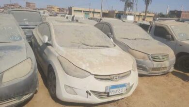 مزاد جمارك السويس والسخنة يبيع 32 لوط سيارات وبضائع بقيمة 34.5 مليون جنيه