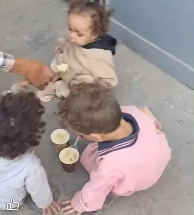 القبض على سيدة تركت أطفالها الثلاثة بينهم رضيع داخل زراعات بالشرقية