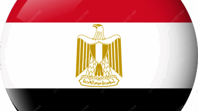 إنتخاب مصر لعضوية المجلس التنفيذي لمنظمة اليونسكو للفترة ٢٠٢٥-٢٠٢٩