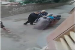 فيديو مشاجرة بكفر صقر يكشف خلافات جيرة القديمة