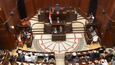 تشريعية الشيوخ تناقش تغليظ عقوبة سرقة الكهرباء إلى الحبس سنة وغرام مليون جنيه