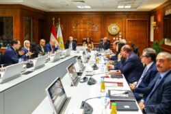 وزيرة التنمية المحلية تبحث خطط تطوير أسواق القاهرة وبورسعيد