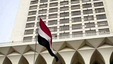 مصر تدعو إلى خفض التصعيد في سوريا وتغليب مسارات التهدئة والحوار