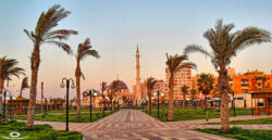 إحياء العيد القومي لمحافظة بورسعيد