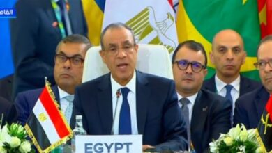 وزير الخارجية: مصر تؤكد أن إصلاح النظام الدولى يجب أن يقوم على العدالة والتوازن