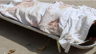 العثور على جثة سيدة بالبدرشين متعفنة… نجل شقيق الطليق وراء الجريمة