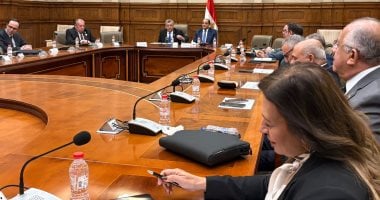 إنطلاق اجتماع دستورية الشيوخ لمناقشة تعديلات قانون الكهرباء