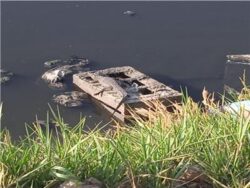 ظهور تماسيح في الشرقية يثير القلق وتحرك عاجل من المسؤولين