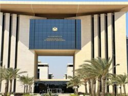 مصر تحتفل باليوم العالمي لحقوق الإنسان وتجدد التزامها بتعزيز الحقوق والحريات