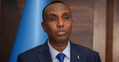 رئيس وزراء الصومال: نتنياهو يسعى لموطئ قدم فى القرن الإفريقى