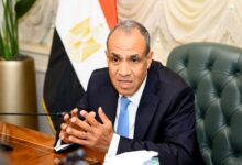 وزير الخارجية يستعرض رؤية مصر للأمن والتنمية بأفريقيا