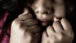 قرار عاجل بشأن سائق اعتدى على سيدة بعد تهديدها بإيذاء ابنها أسفل الطريق الدائري