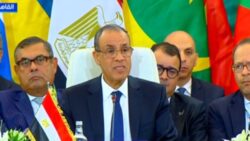 بدر عبد العاطي مصر تؤكد ضرورة البدء العاجل فى إعادة إعمار قطاع غزة