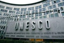 اليونسكو تُدرج "الكشري المصري" على قائمة التراث غير المادي لعام 2025