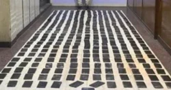 حبس 6 متهمين في قضية “طن الحشيش”