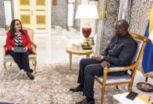 السفيرة المصرية تلتقي رئيس الجمهورية الجابوني