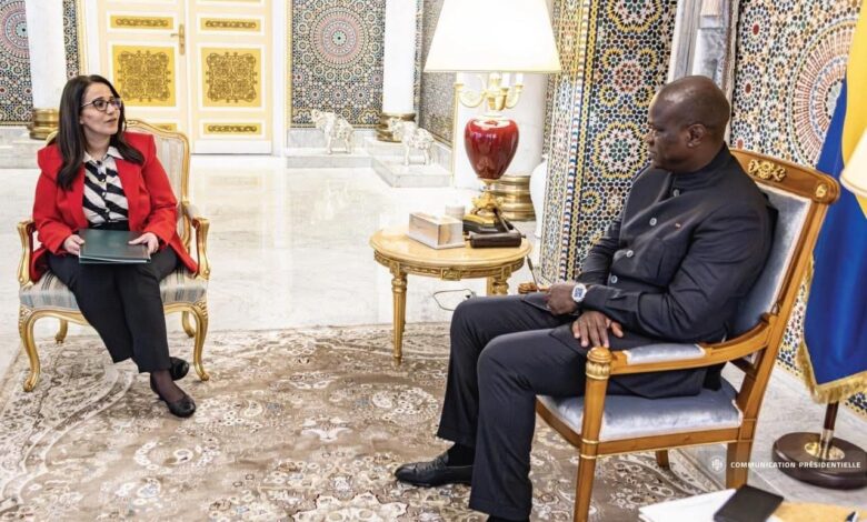 السفيرة المصرية تلتقي رئيس الجمهورية الجابوني