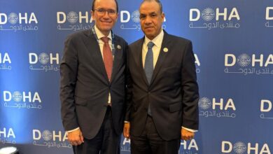 وزير الخارجية والهجرة وشئون المصريين بالخارج مع نظيره القبرصي