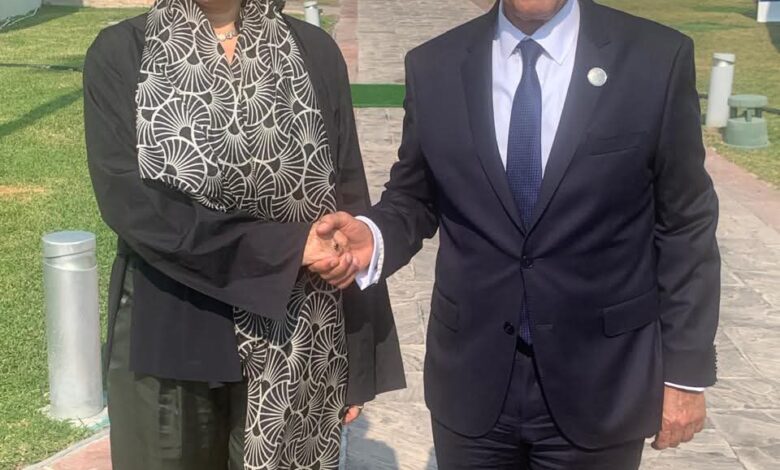 وزير الخارجية يلتقي مبعوثة الاتحاد الأوروبي للقرن الأفريقي